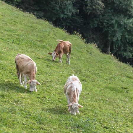 Ferienwohnung Oberrissglueck Schliersee Exteriör bild