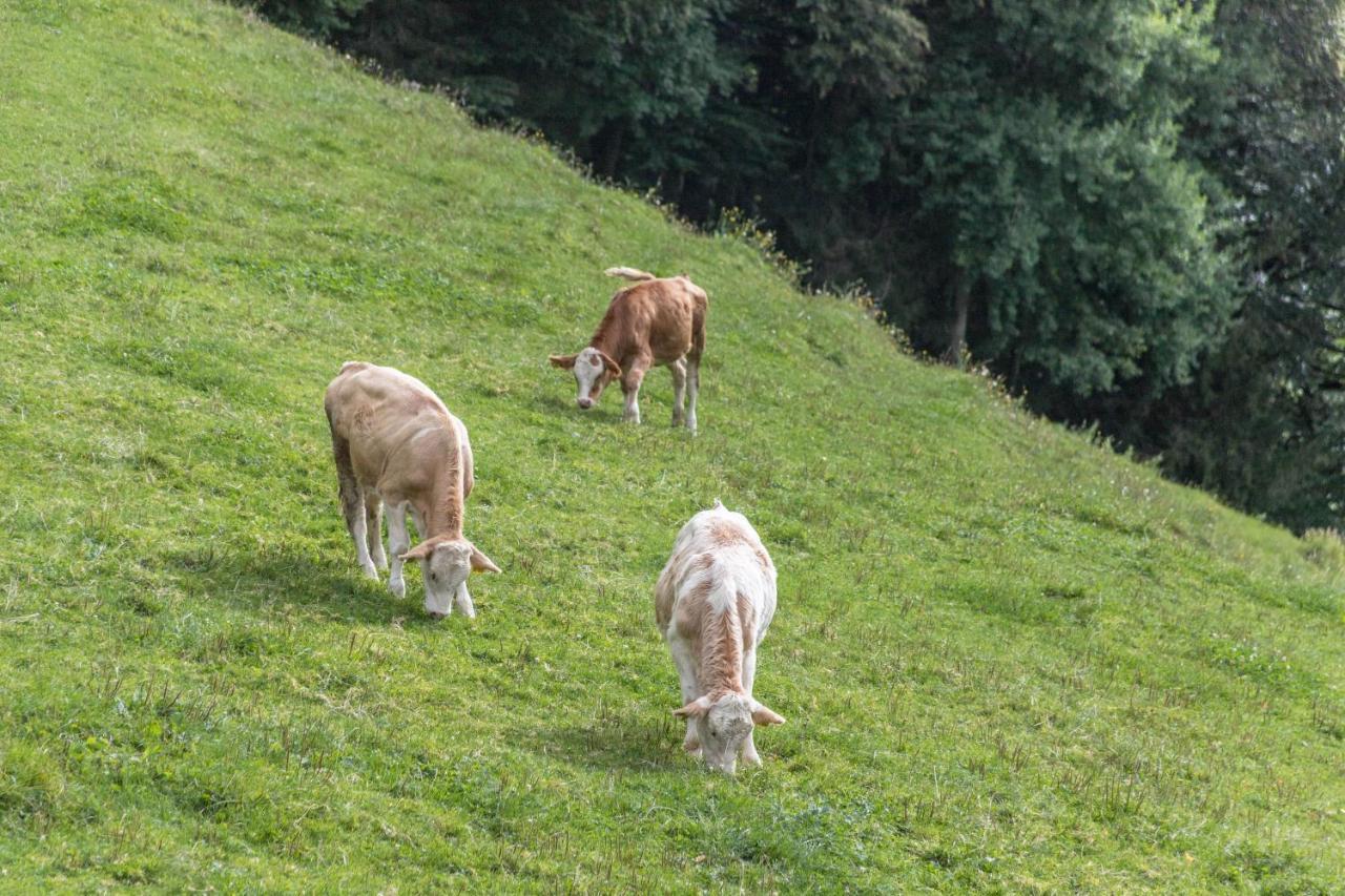 Ferienwohnung Oberrissglueck Schliersee Exteriör bild